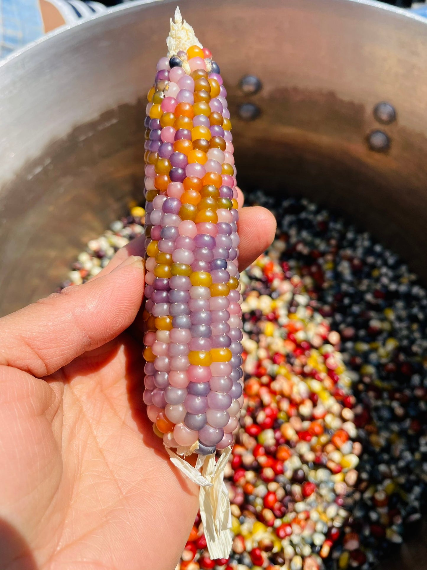 Glass gem corn